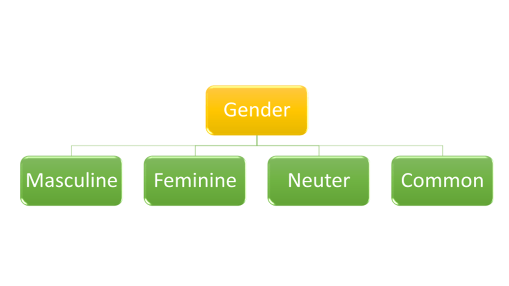 Gender Types in Noun