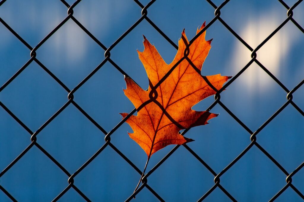chain link fence